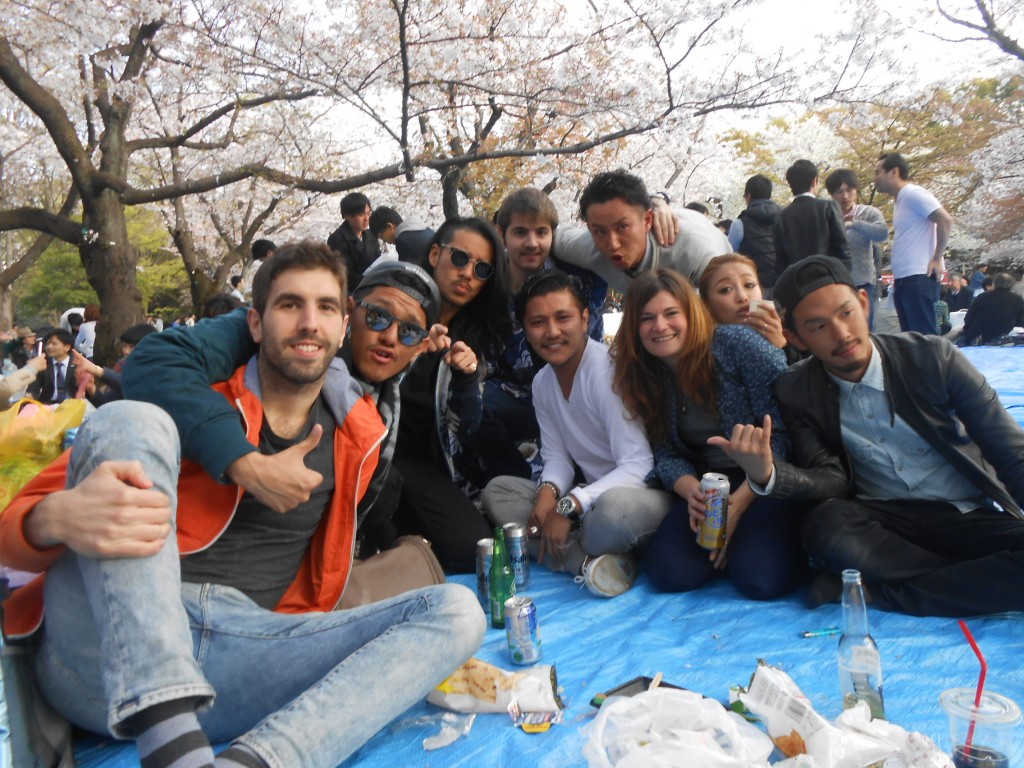 Ver los cerezos en flor en Japón