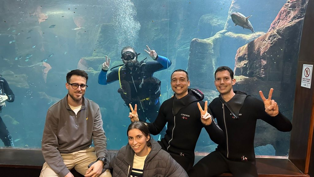 Nadar entre tiburones